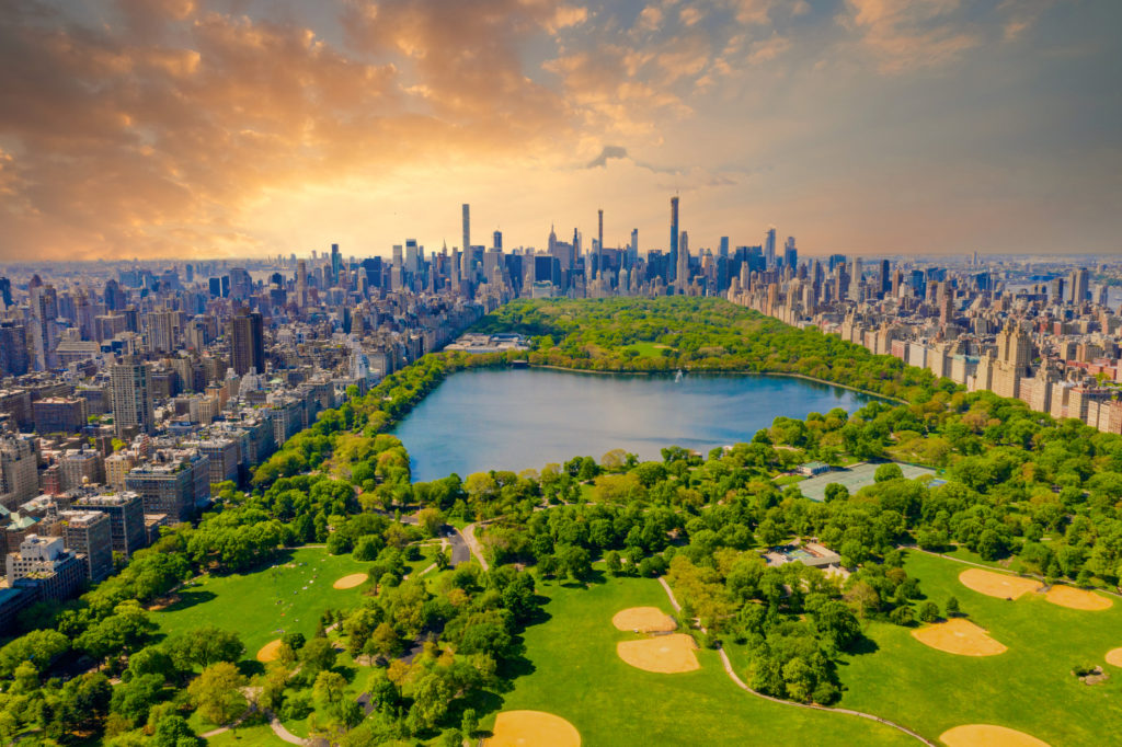 life settlement broker new york city