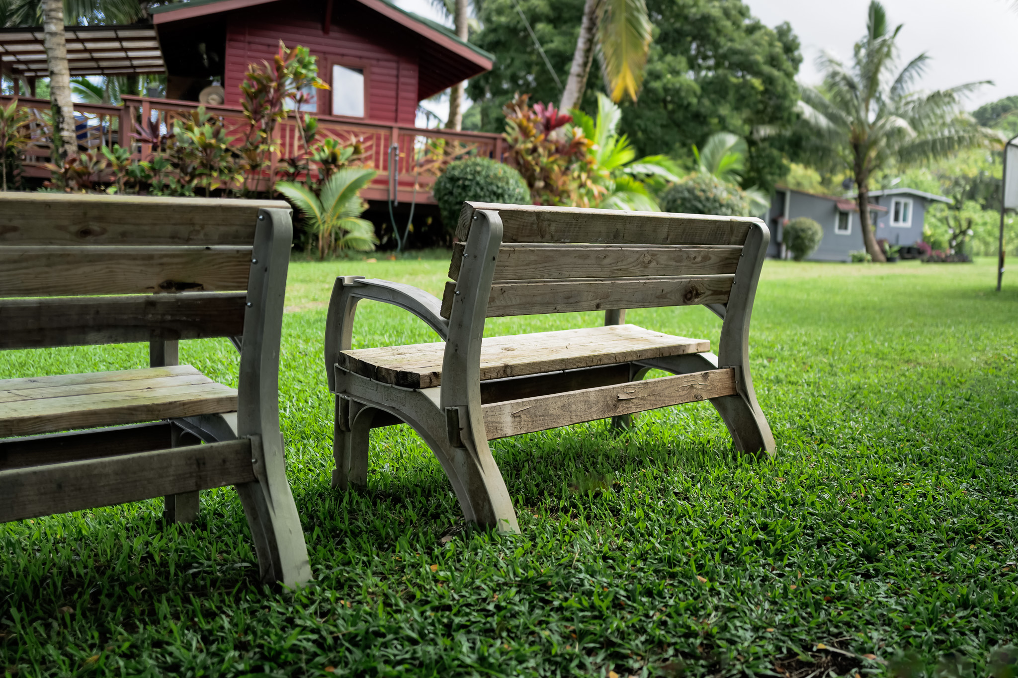 life settlement investing